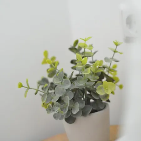 See- Und Bergblick 59 Oberteuringen